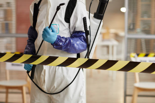 Professional Sewage Cleanup technician working in Bushnell, IL