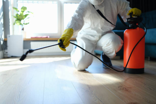 Reliable Sewage Cleanup contractor in Bushnell, IL by Crime Scene Cleaner Online